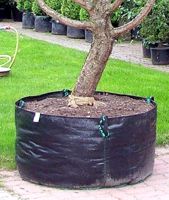 ARBO®-STRONG -MARTEX PL ARBO®-STRONG -MARTEX PL
